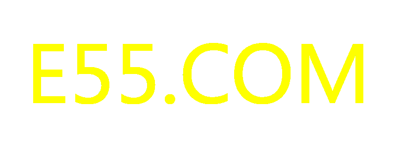 E55.COM